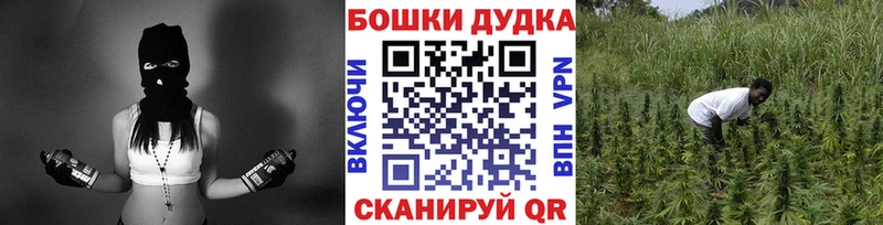 где продают   Богучар  Конопля марихуана 